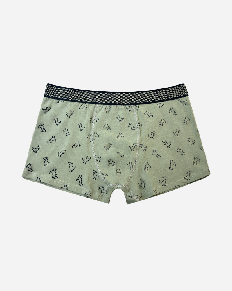 Animal Print  Midi Square Leg Boxer Brief